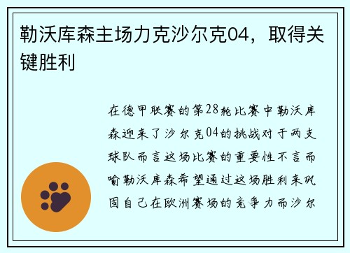 勒沃库森主场力克沙尔克04，取得关键胜利